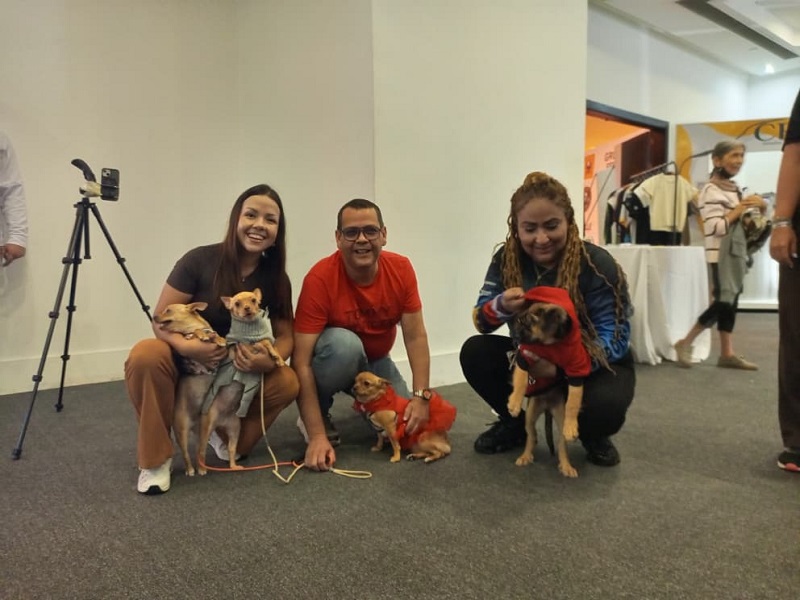 Grooming Fest Élite Venezuela