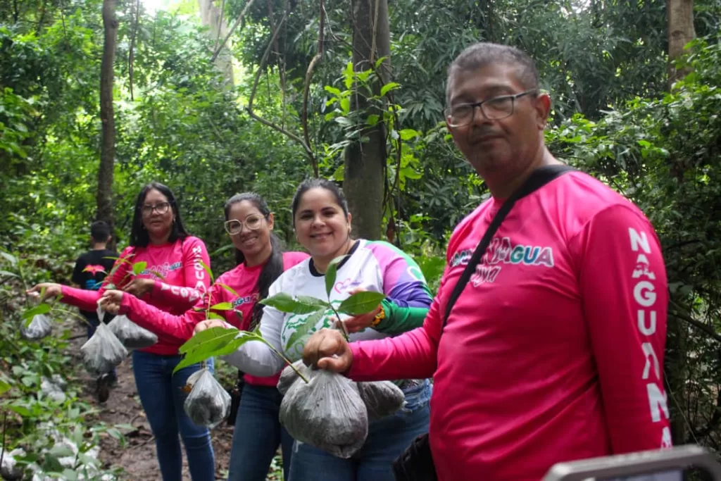 reforestación en río Agua Linda