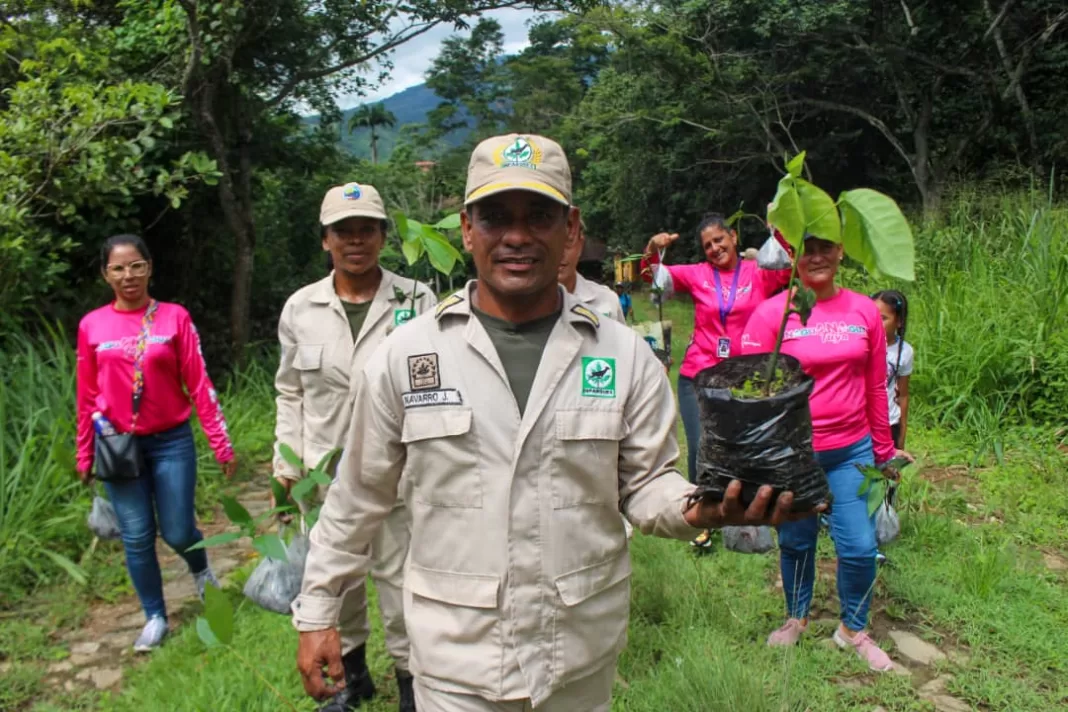 reforestación en río Agua Linda