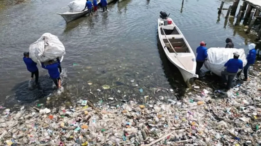 desechos recolectado en el Lago de Maracaibo