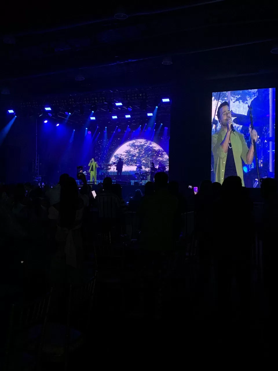 concierto Luis Fonsi en Valencia