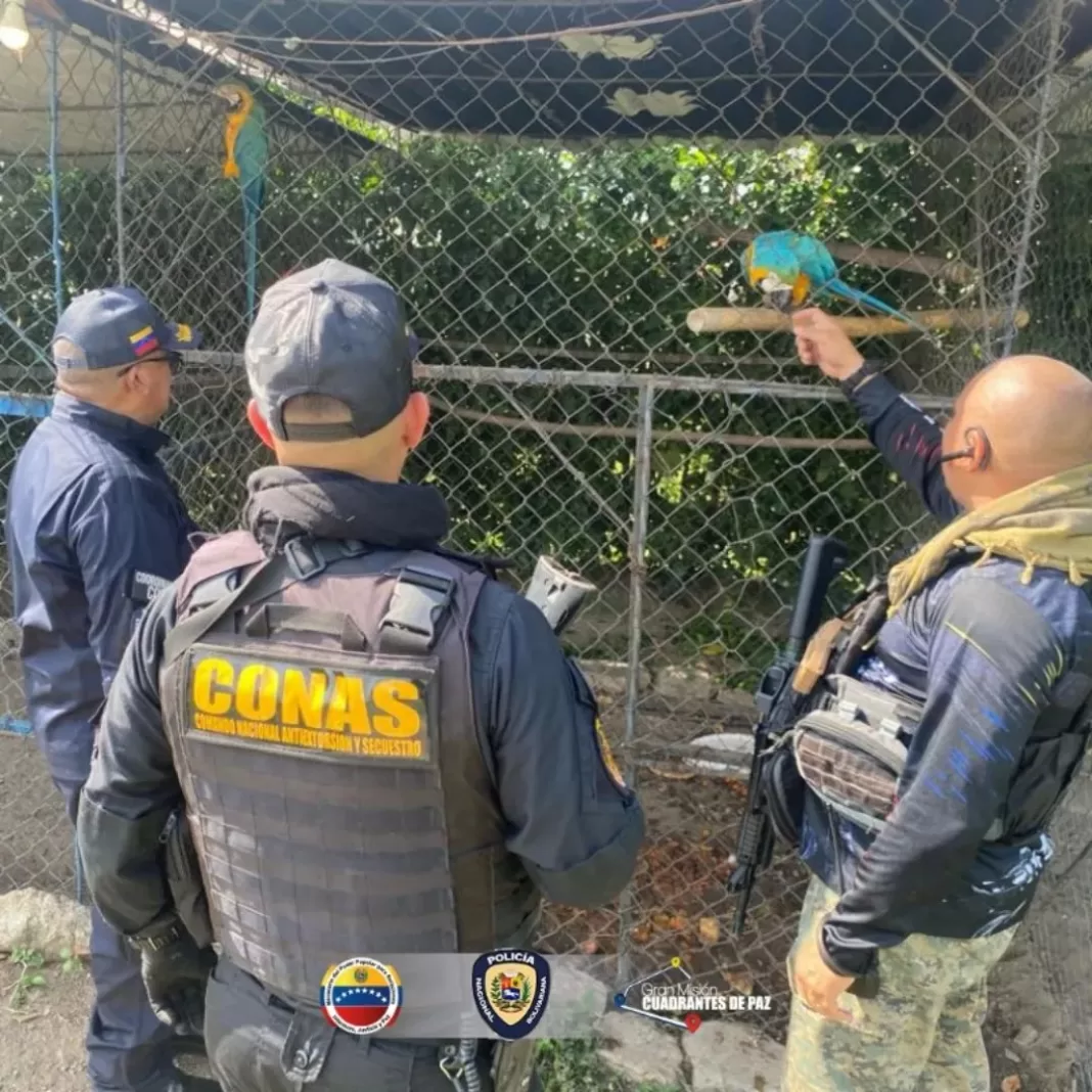 Zoológico clandestino aragua