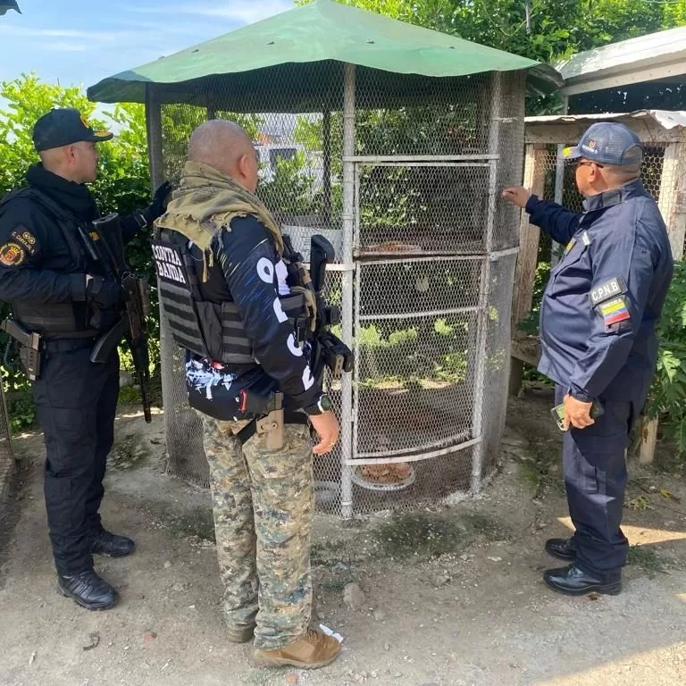 Zoológico clandestino aragua