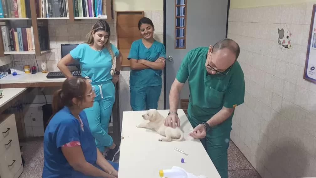 mascotas periodistas