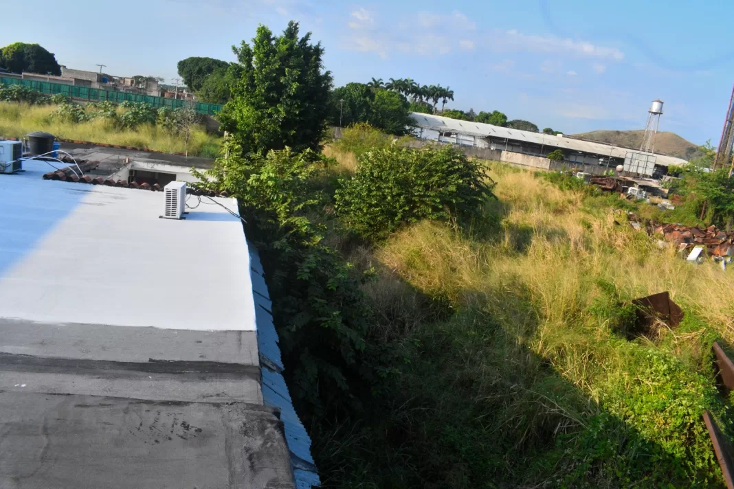 canal Las Acacias al sur de Valencia