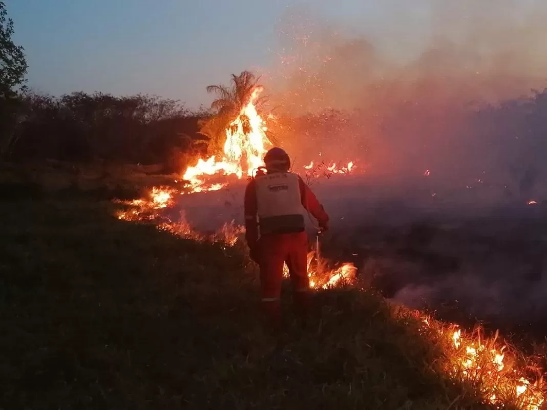 Canaima Mérida Aragua incendios
