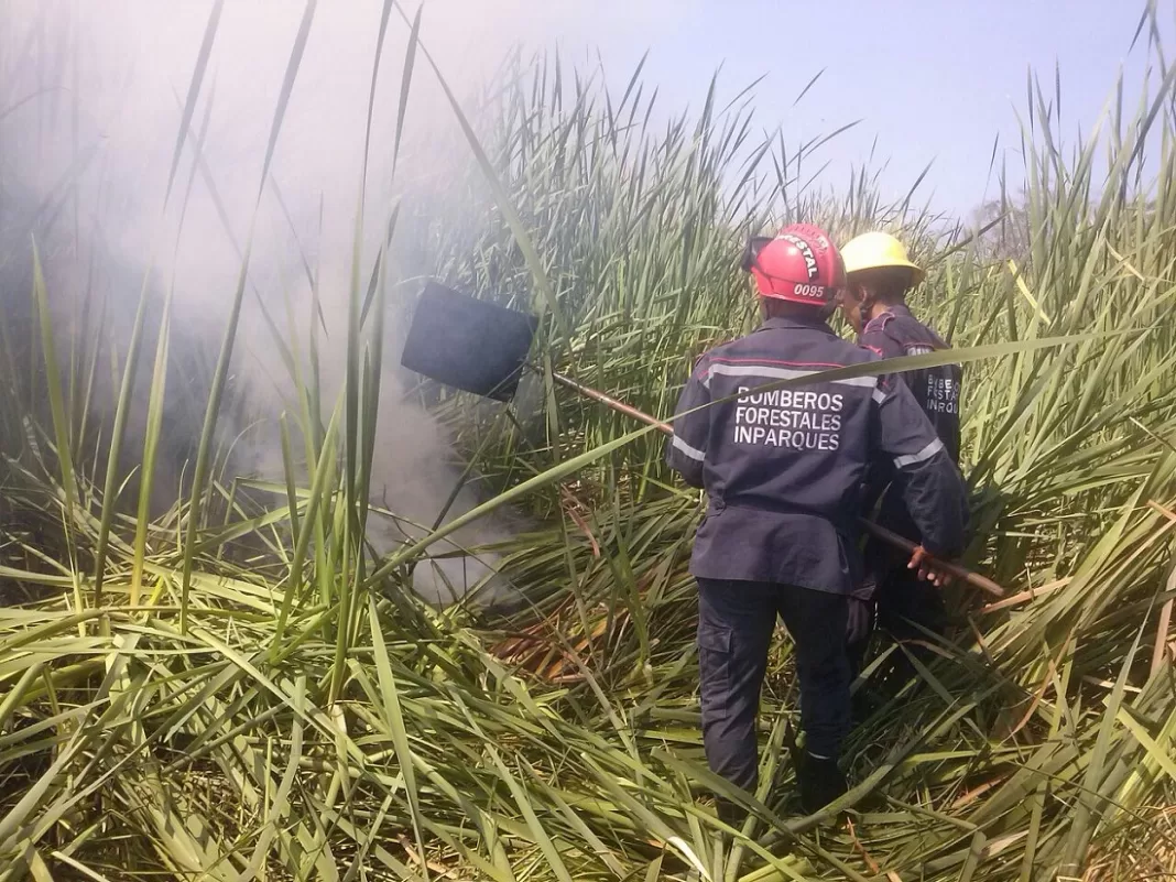 incendios Henri Pittier sospechosos incendios Henri Pittier