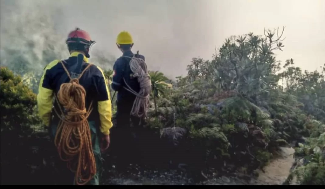 operaciones búsqueda Waraira Repano