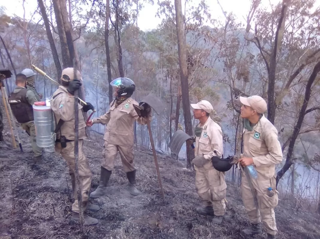 Inparques-fuego-Waraira-Repano hectáreas incendios forestales