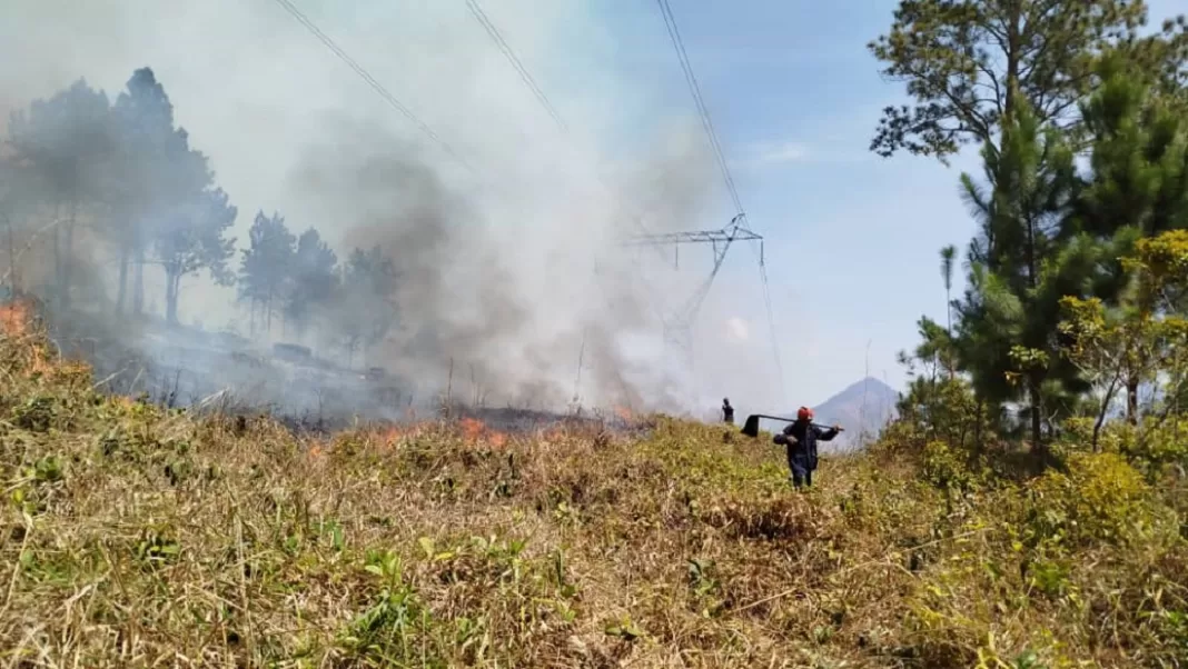 funcionarios incendios forestales