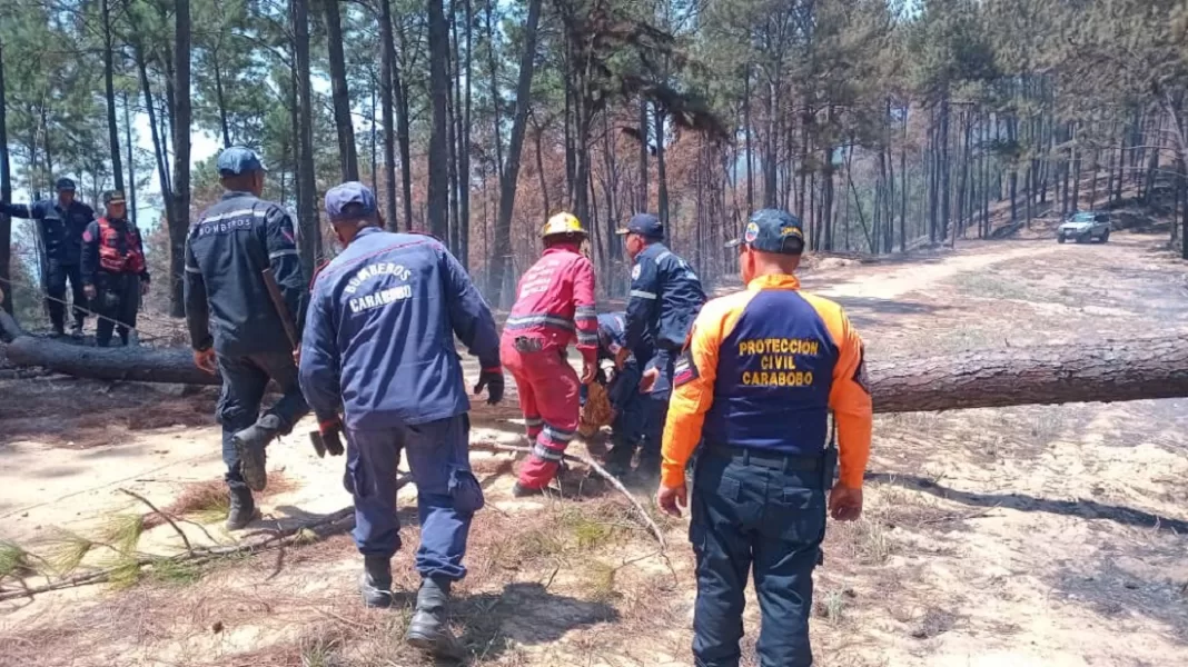 Lacava parques incendios