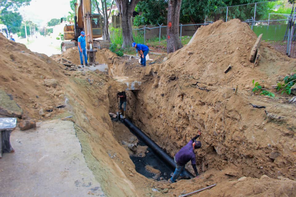 Ana González El Cafetal