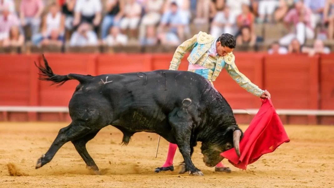 Colombia corridas toros
