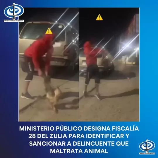 maltrato animal en el Zulia