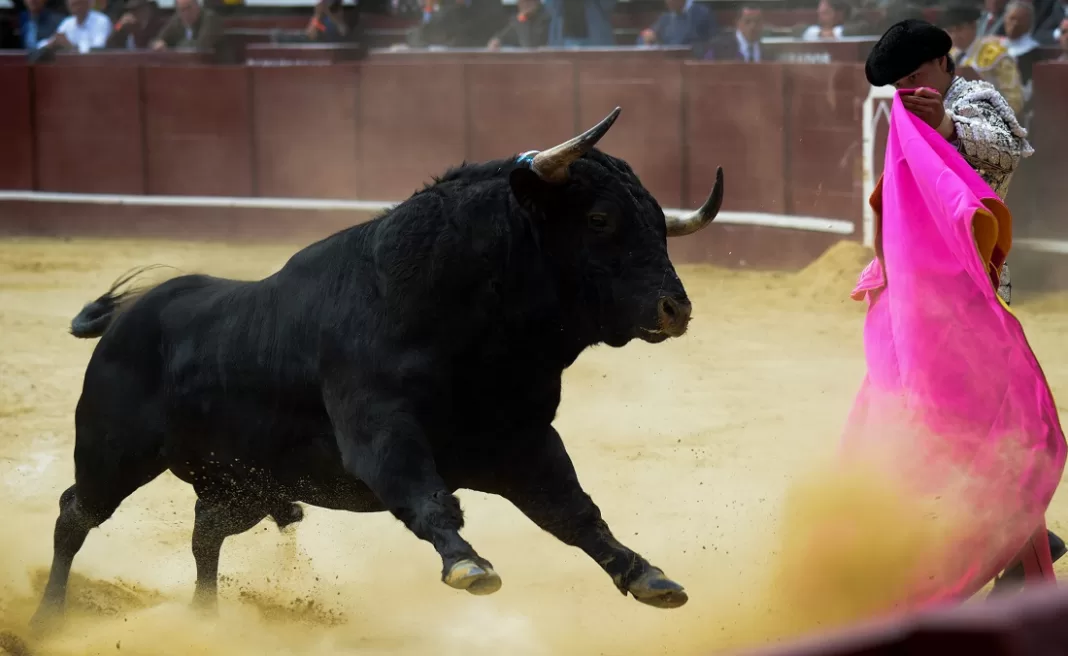 corridas toros Colombia