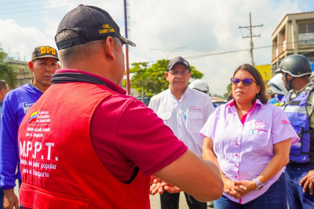 plan de reordenamiento vehicular