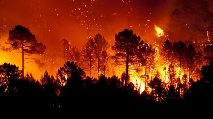 Sudamérica incendios forestales