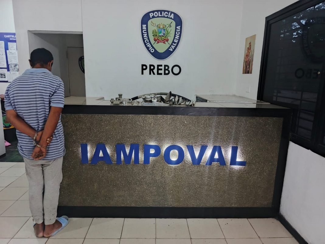 Polivalencia Prebo