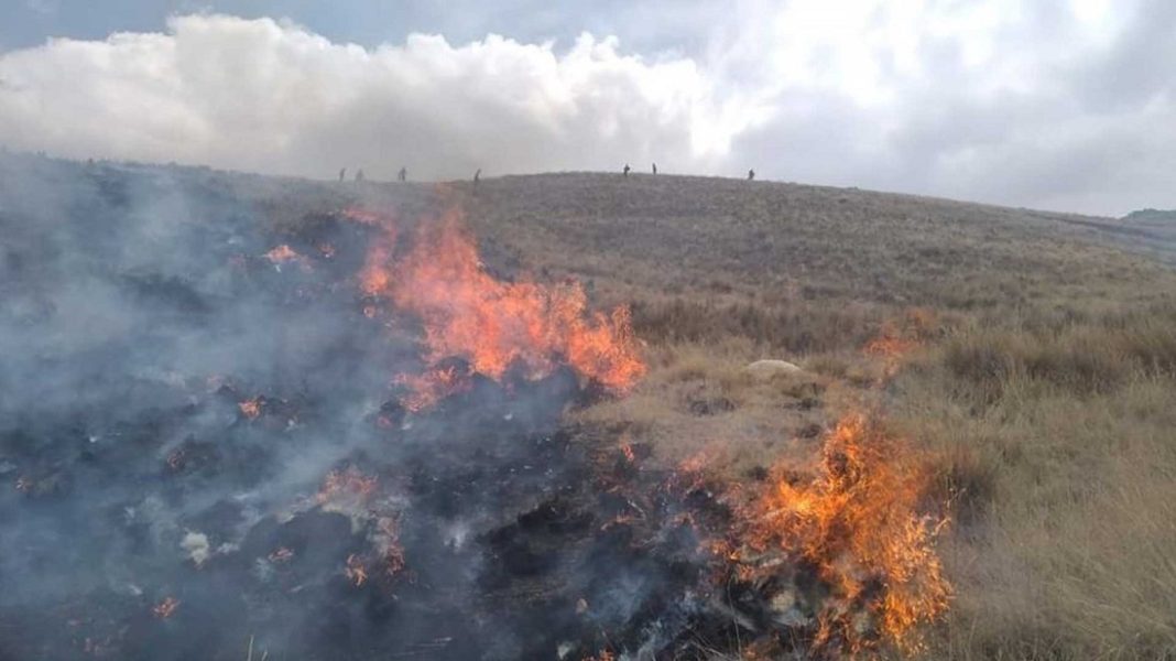 Perú incendios forestales