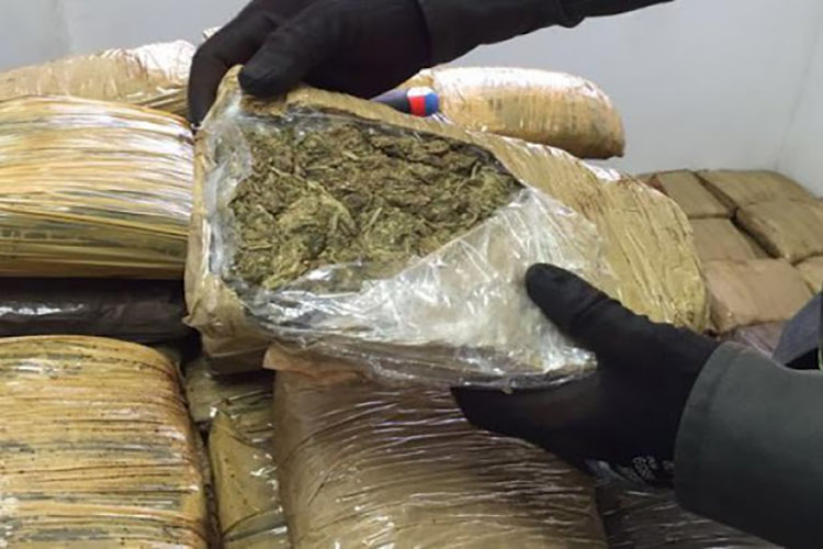 marihuana en San Cristóbal