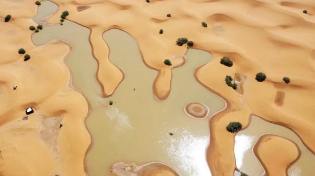 desierto del Sáhara