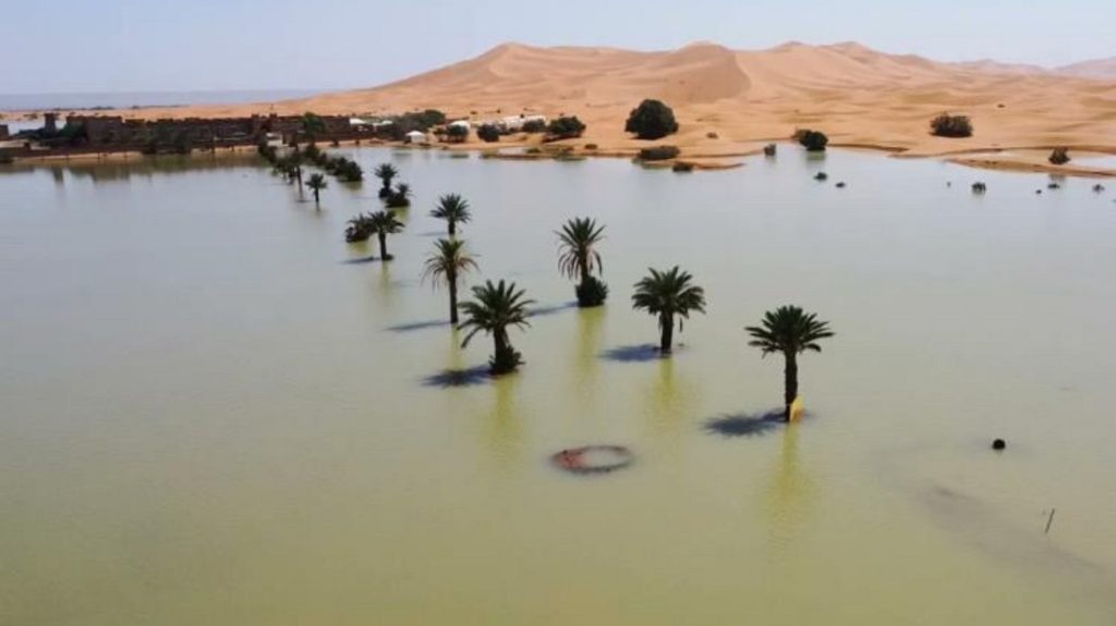 desierto del Sáhara