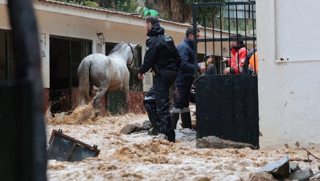 Málaga Club Hípico
