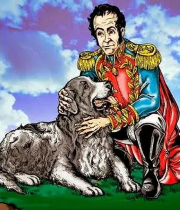 perro Mucuchíes
