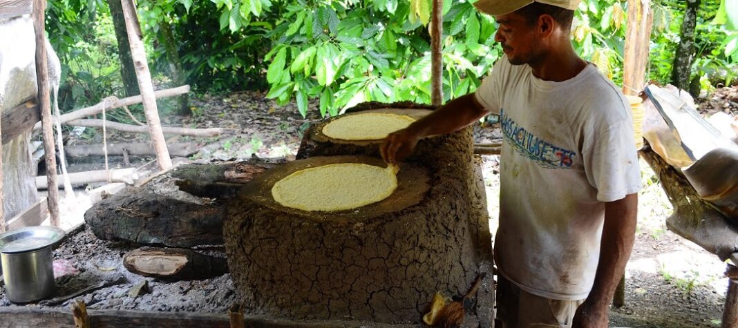 casabe Patrimonio Inmaterial