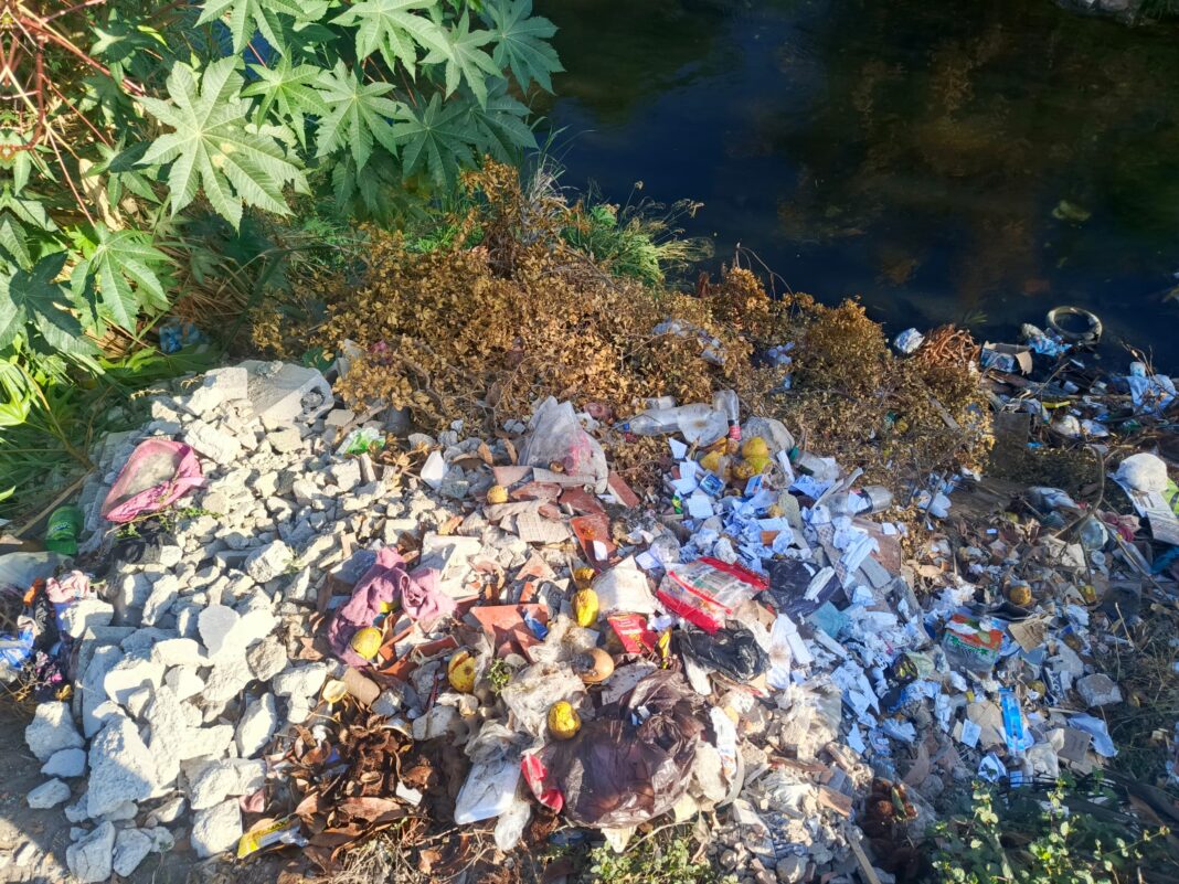 comunidad el vivero basura