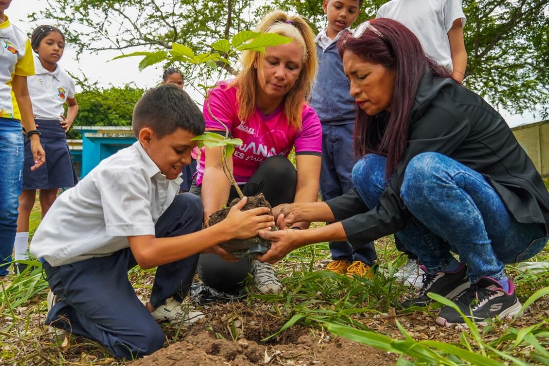 En Naguanagua celebraron el Día Internacional de la Tierra con la siembra de araguaneyes en la U.E. Crispina Mercado (7) Naguanagua Día Internacional Tierra