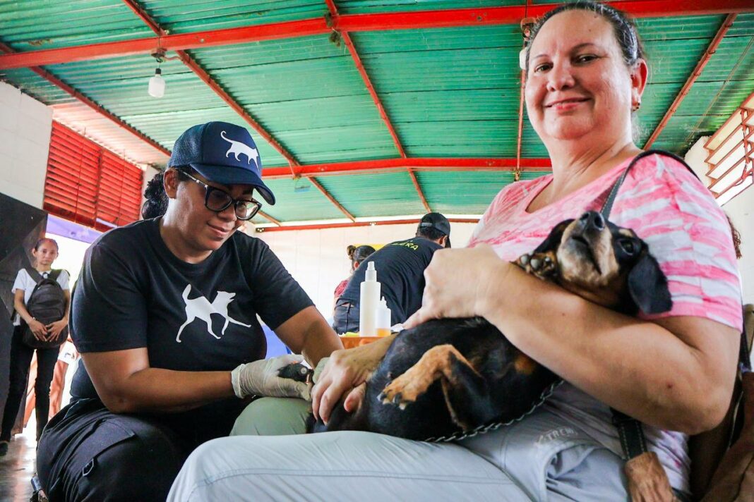 Alcaldía de Naguanagua Jornada Veterinaria