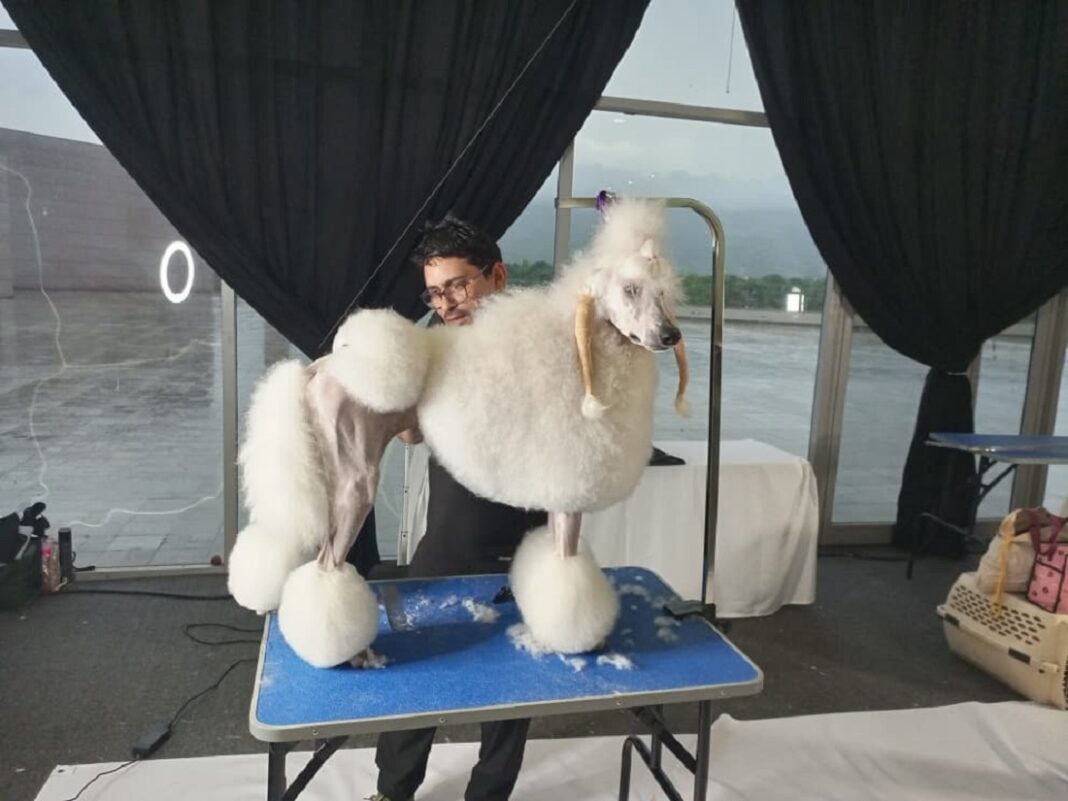 Grooming Fest Élite Venezuela