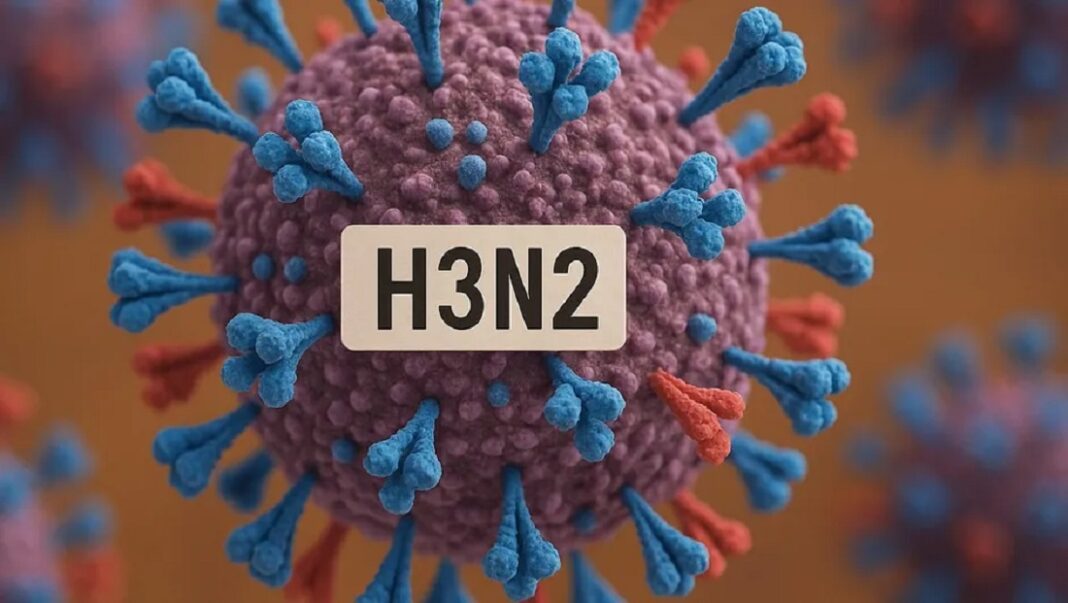 H3N2-K