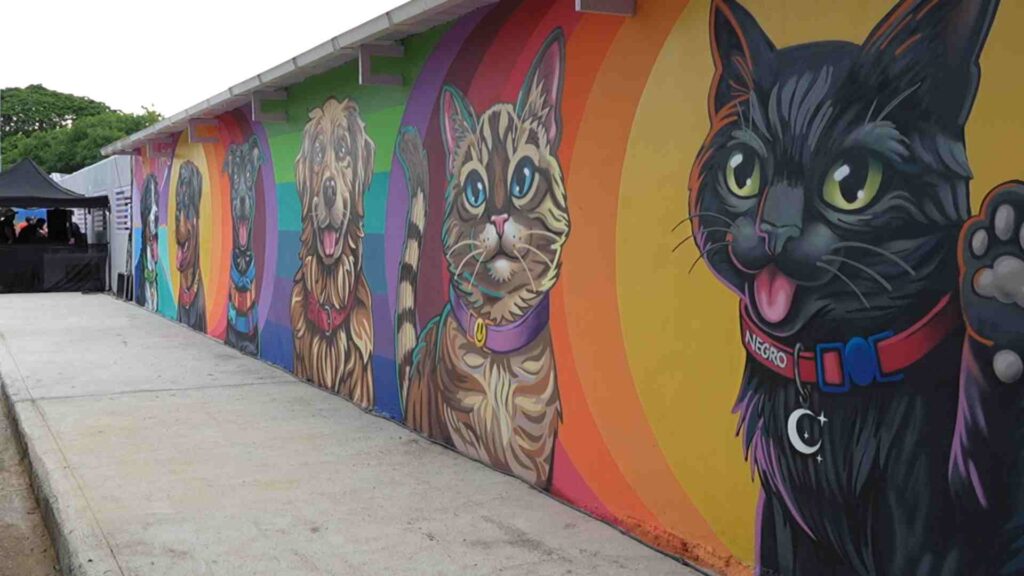 Centro de Bienestar Animal en San Joaquín