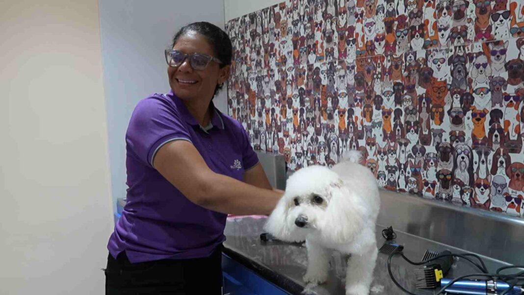 Centro de Bienestar Animal en San Joaquín